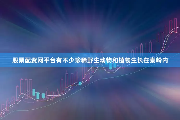 股票配资网平台有不少珍稀野生动物和植物生长在秦岭内
