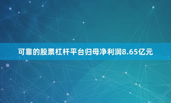 可靠的股票杠杆平台归母净利润8.65亿元