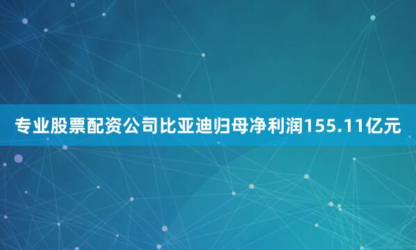 专业股票配资公司比亚迪归母净利润155.11亿元