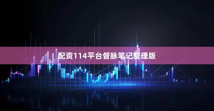 配资114平台督脉笔记整理版