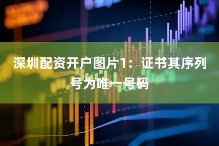 深圳配资开户图片1：证书其序列号为唯一号码